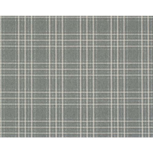Kelton in Platinum Carpet