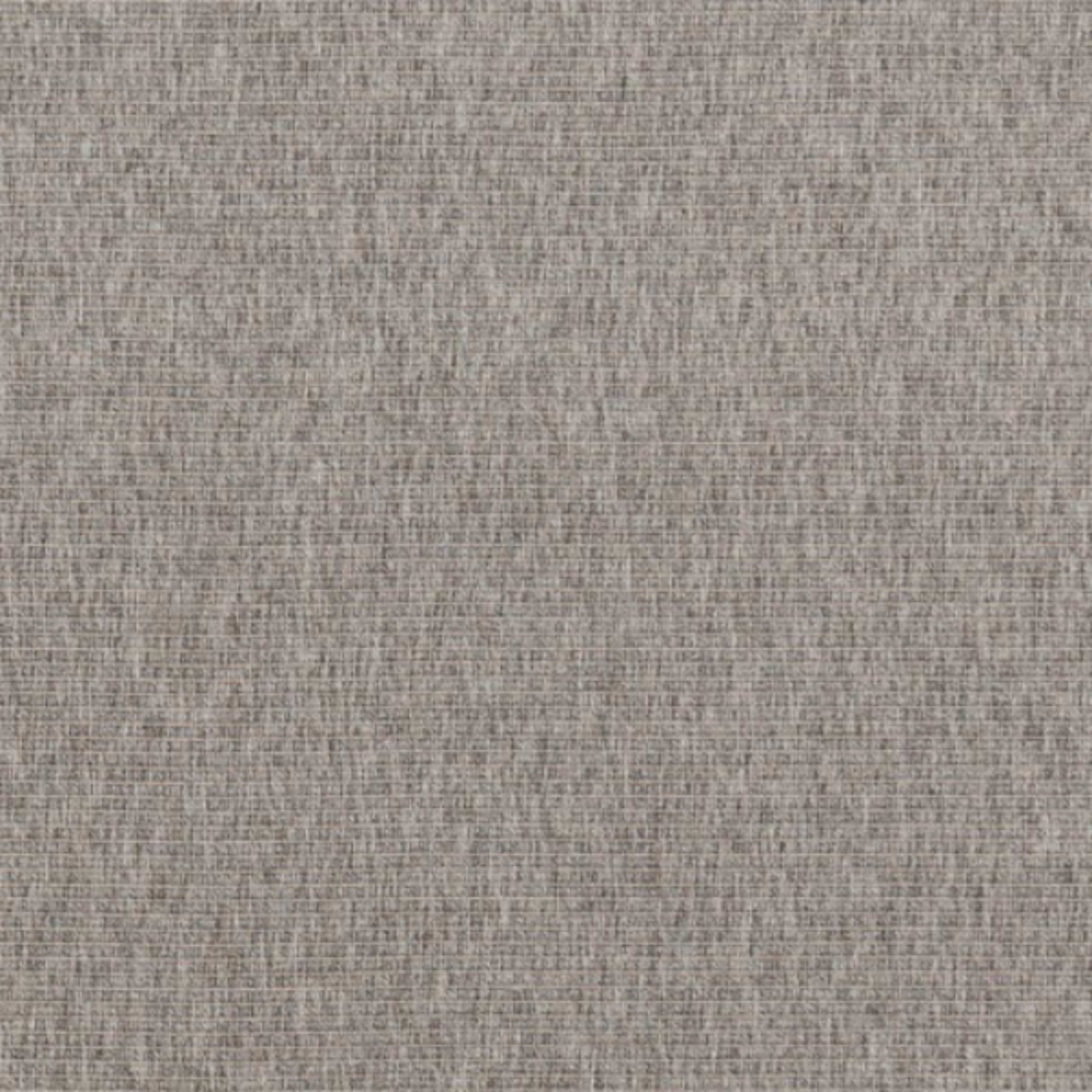 Rayna in Platinum Carpet
