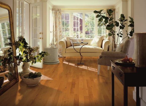 Yorkshire White Oak Solid