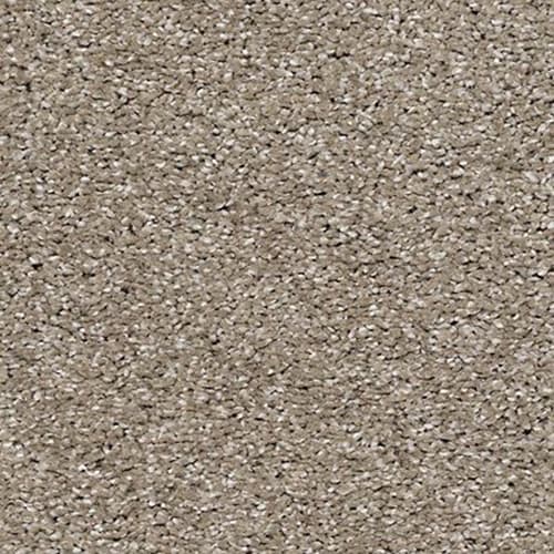 Timeless Statement in Beachfront Carpet