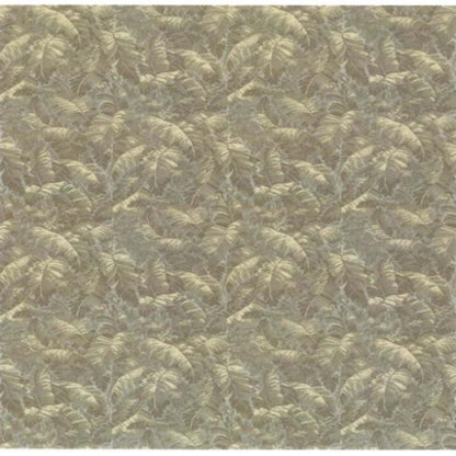 Printed Collection - Biltmore