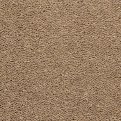 Bodega Bay in Equestrian Trail Carpet