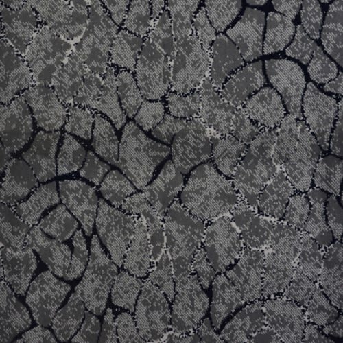 Boundless in Limitless Carpet