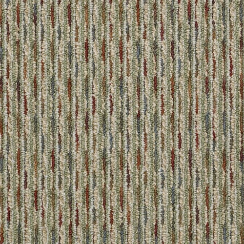 Broadcast in Signal Carpet