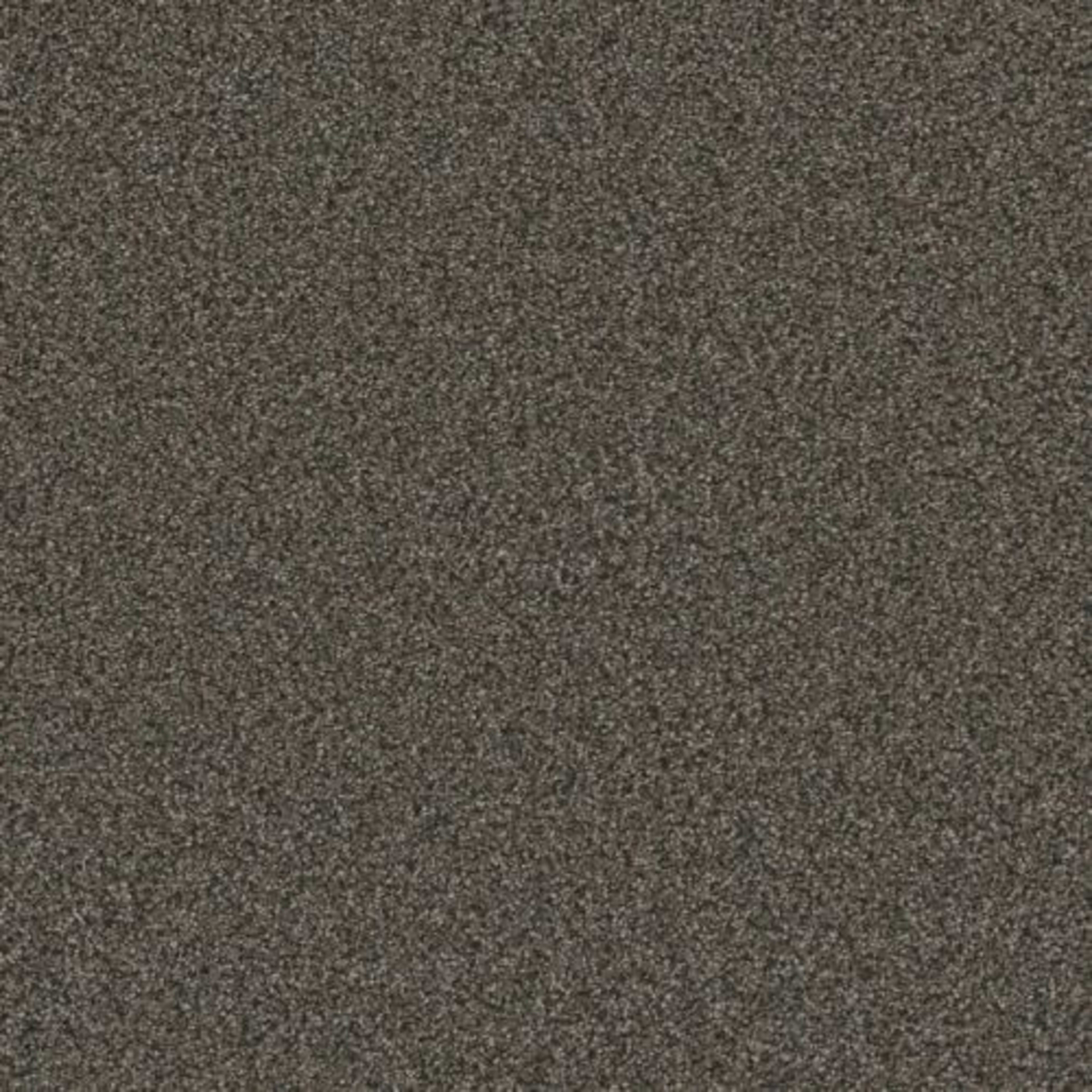 ROYALE III in Burnt Amber Carpet