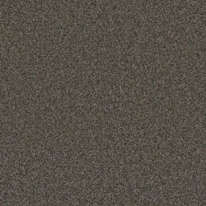 ROYALE III in Burnt Amber Carpet
