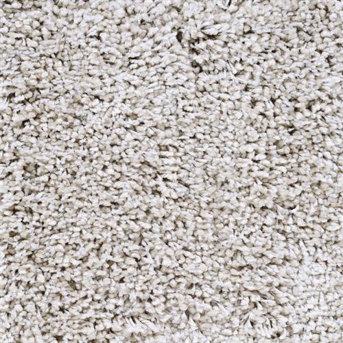 Carolina Shag in Oyster Beige Carpet