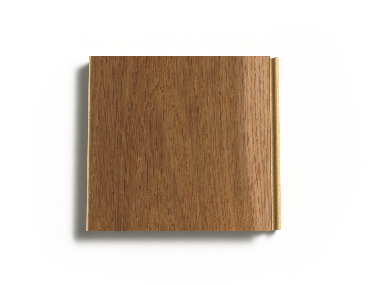 Sapwood Oak