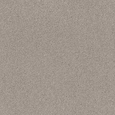 Cozy Harbor I in Carpet Flooring