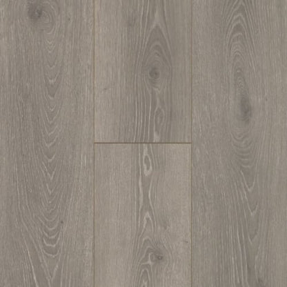 Boardwalk Collective in Graphite