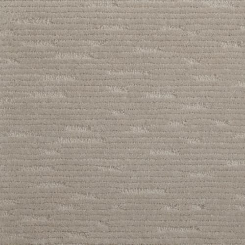 Centerport in Seal Carpet