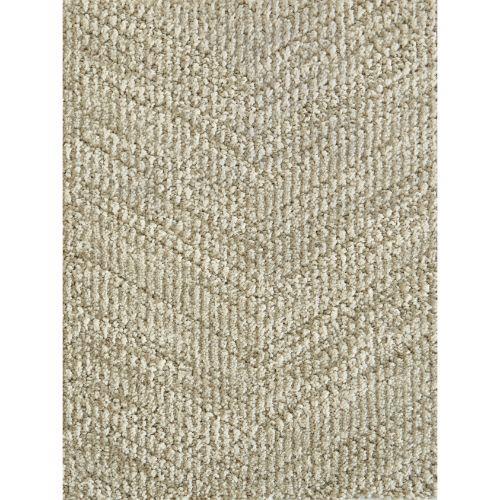 Circuit in Khaki Carpet