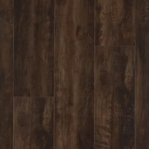 Explorer's Cove in Cafe Doppio Luxury Vinyl