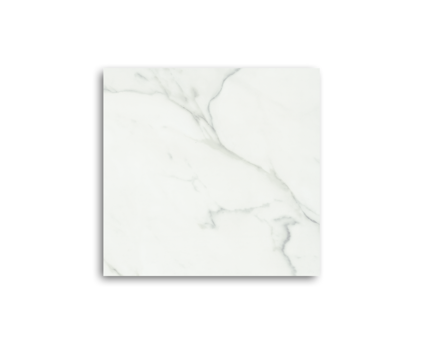 Calacatta Bianco