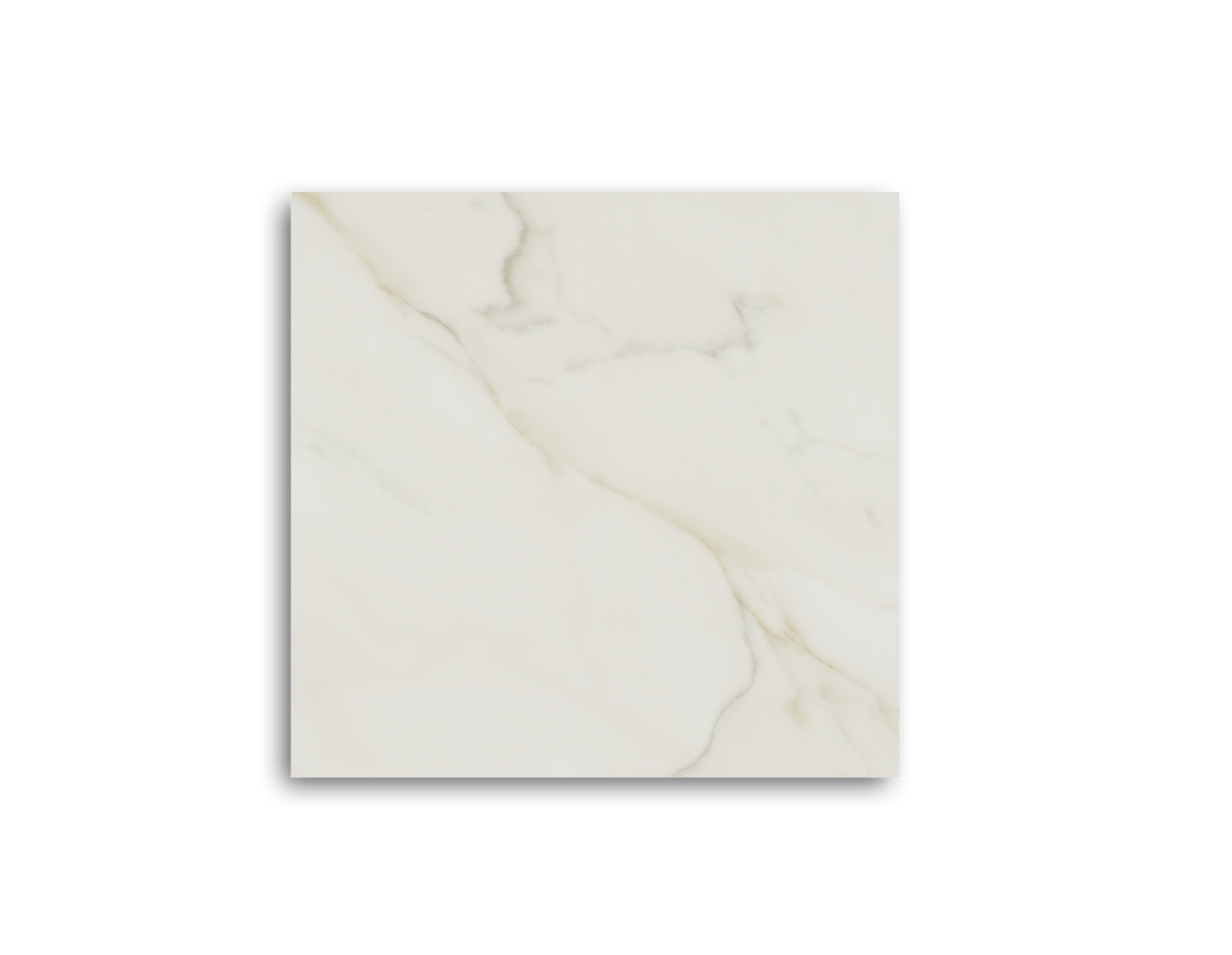 Calacatta Oro
