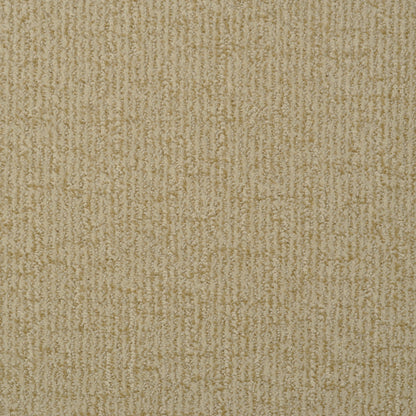 Cape Cod