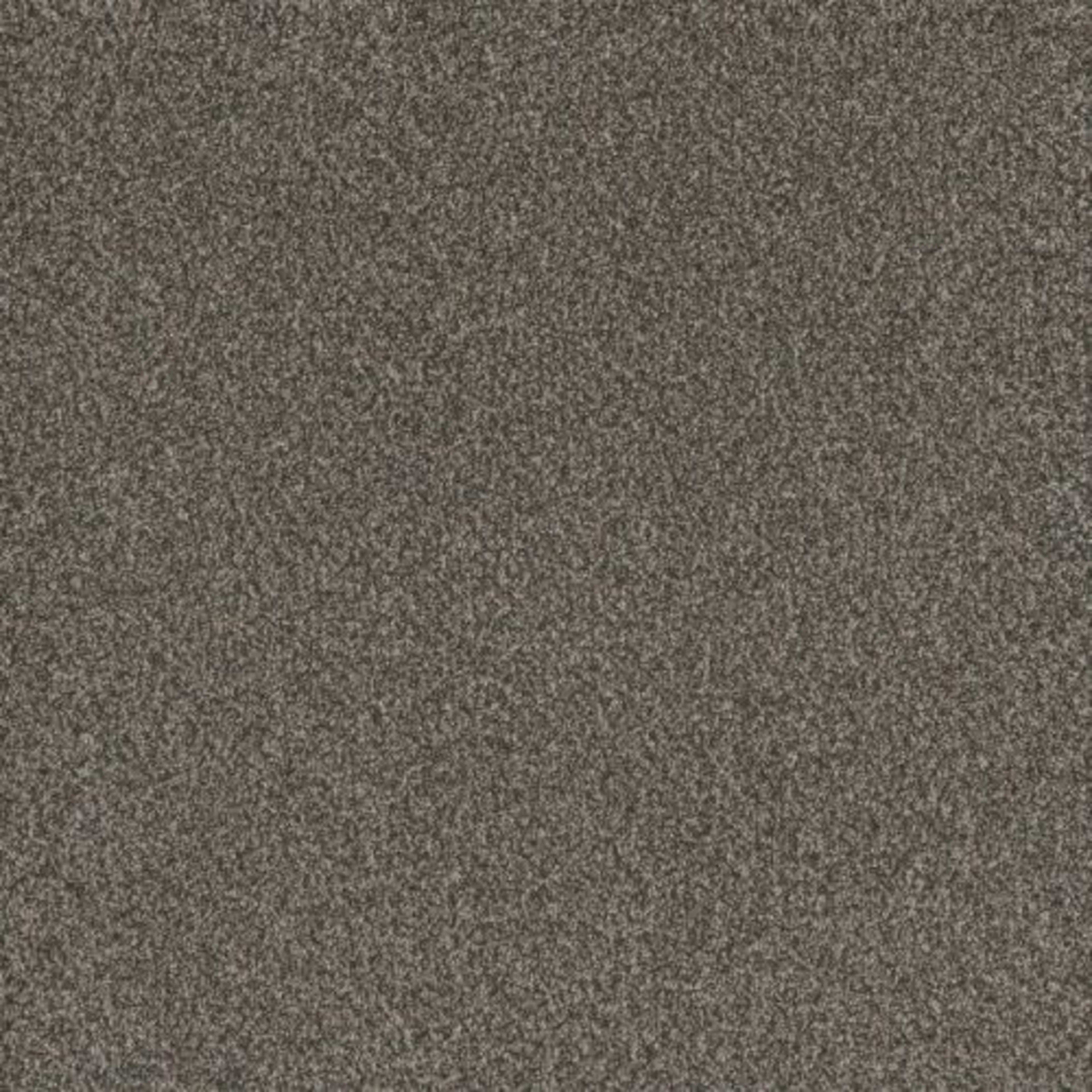 TITAN III in Castle Rock Carpet