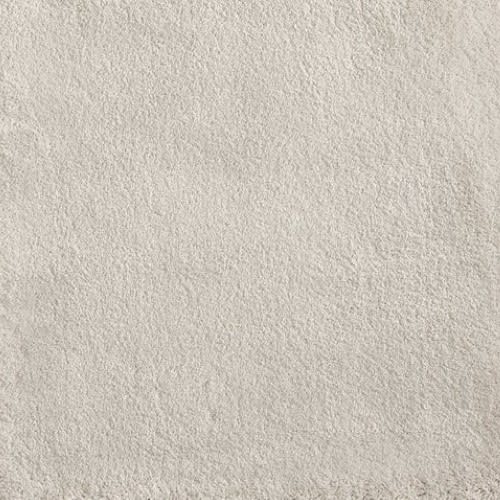 Cha Cha in Cloud Carpet