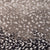 Wild n Wooly - Leopard in Charcoal Carpet