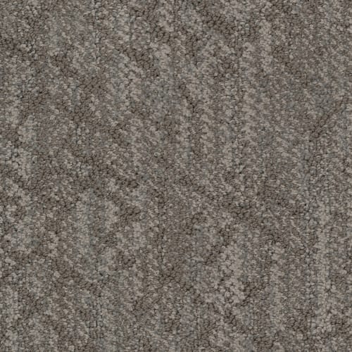 Circuitry in Birch Carpet