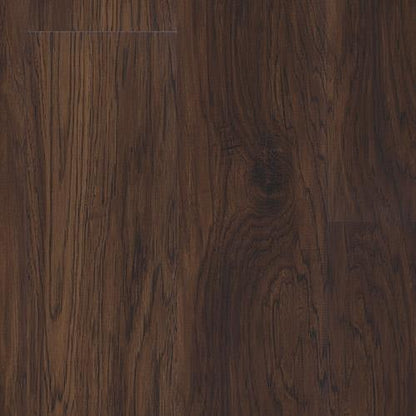 Alpha Collection