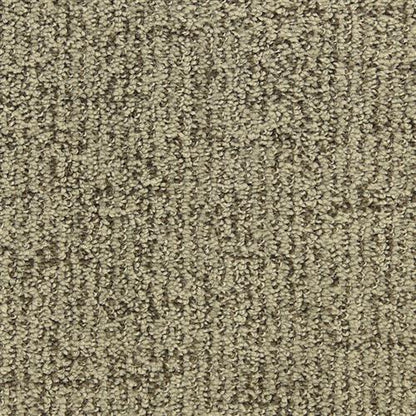 Victor in Grand Prize Carpet