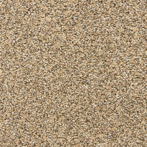 Rochelle in Bronze Carpet