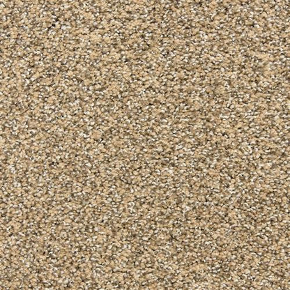 Rochelle in Bronze Carpet