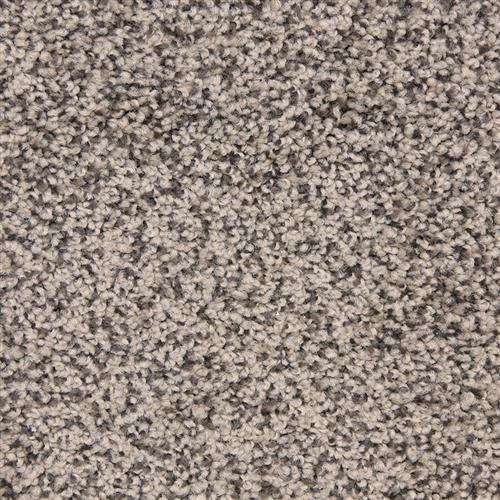 Star Power in Black Sand Carpet