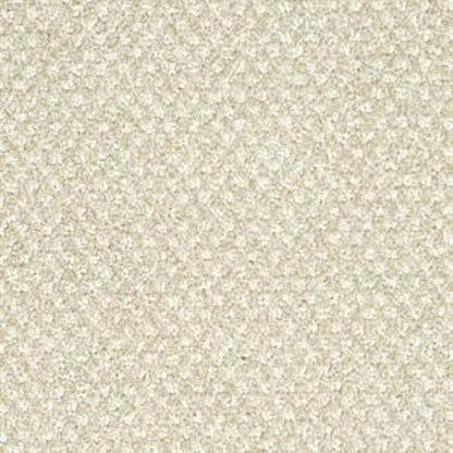 Finery in Fad Carpet