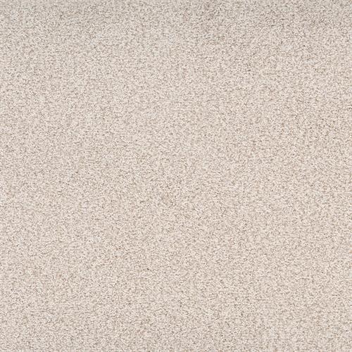 Legit in Relaxed Carpet