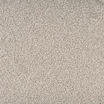 Suave in Exquisite Carpet