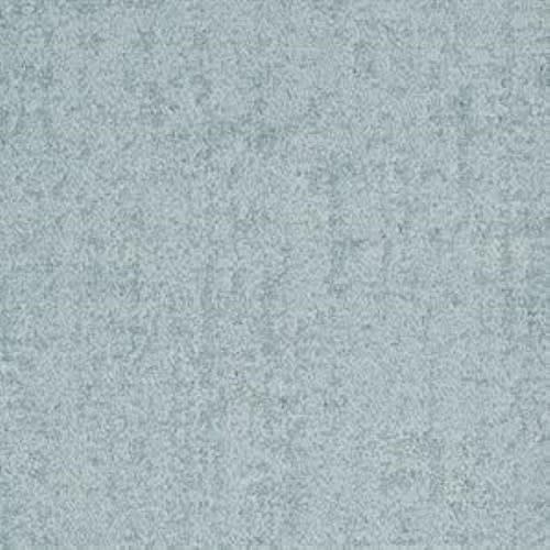 Authentic in Sure Carpet