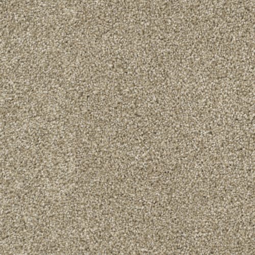 Big Idea in Pebble Carpet