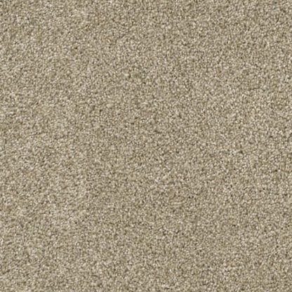 Big Idea in Pebble Carpet