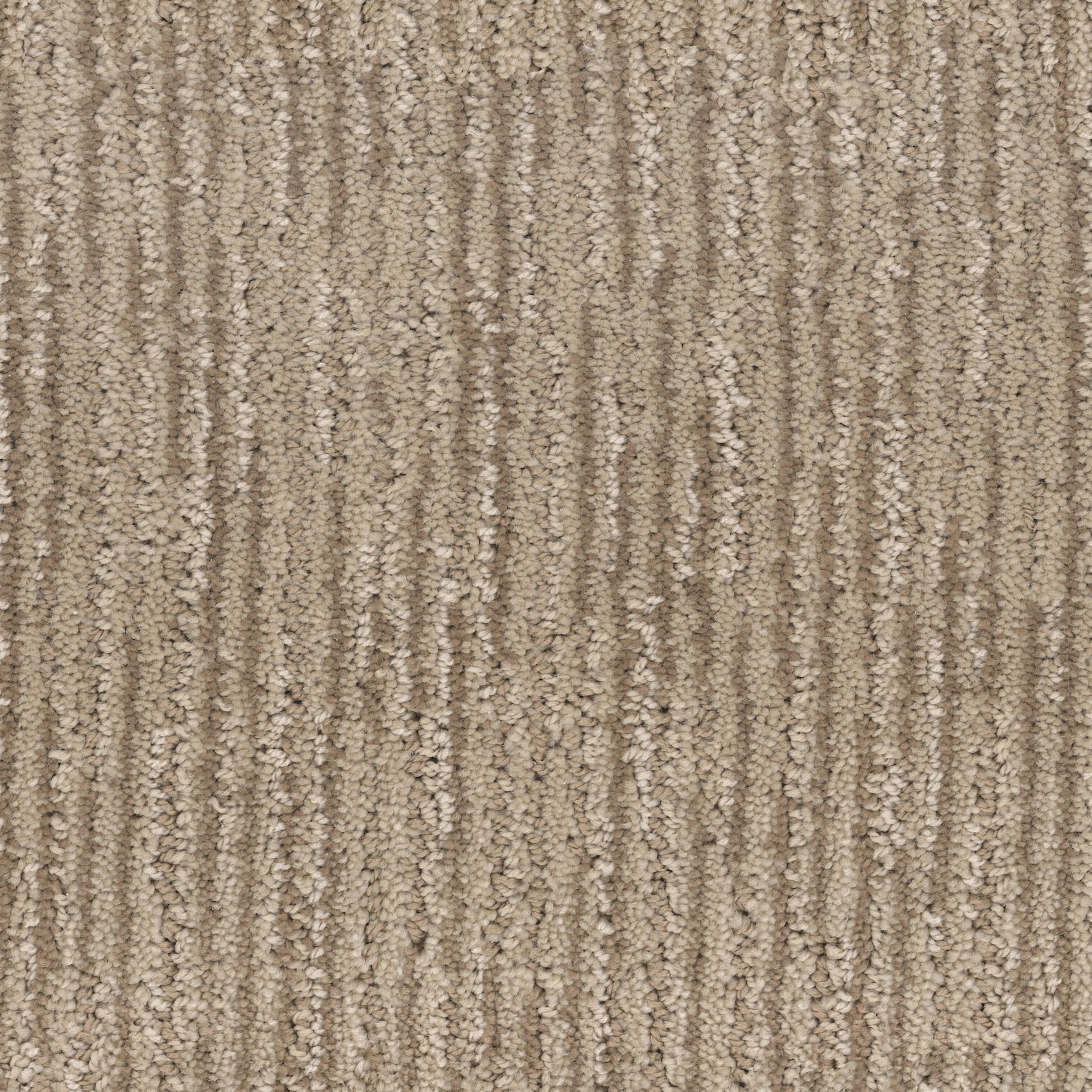 Inviting in Enticing Carpet