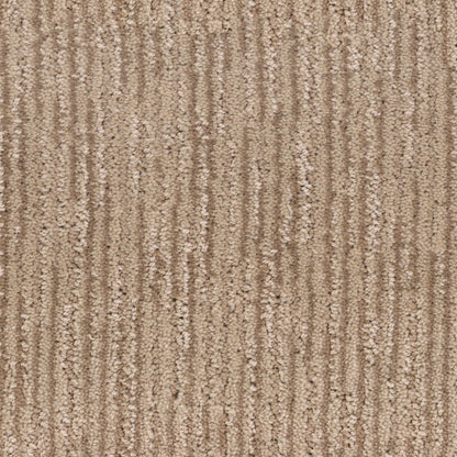Inviting in Enticing Carpet