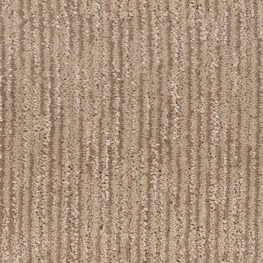 Inviting in Enticing Carpet