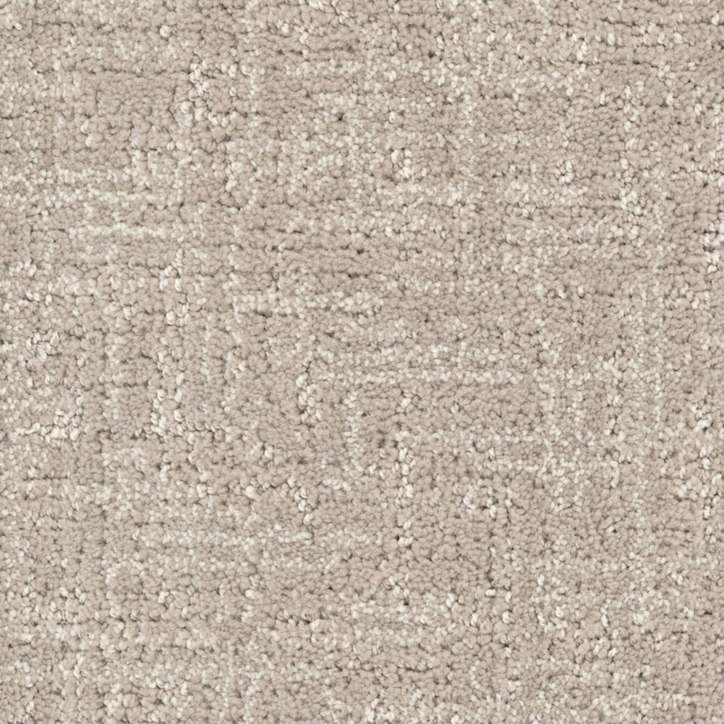 Sanctuary in Neutral Ground Carpet