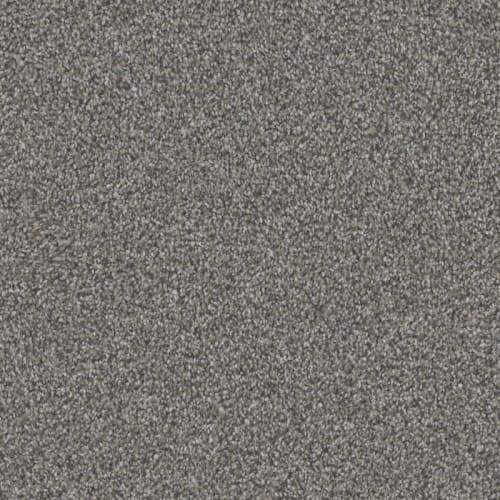 Affection in Silhouette Carpet