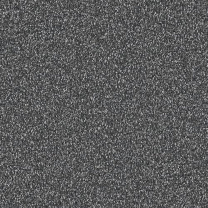 Admiration in Ebony Carpet
