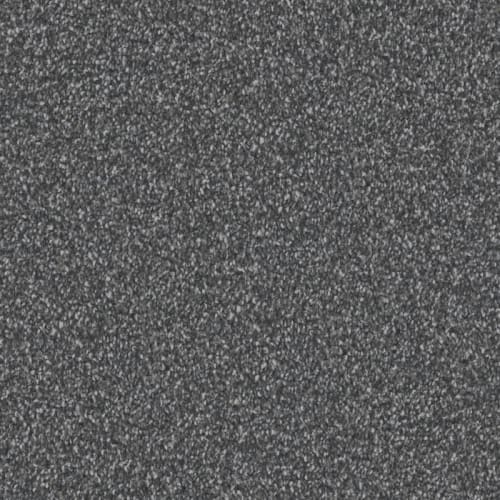 Admiration in Ebony Carpet