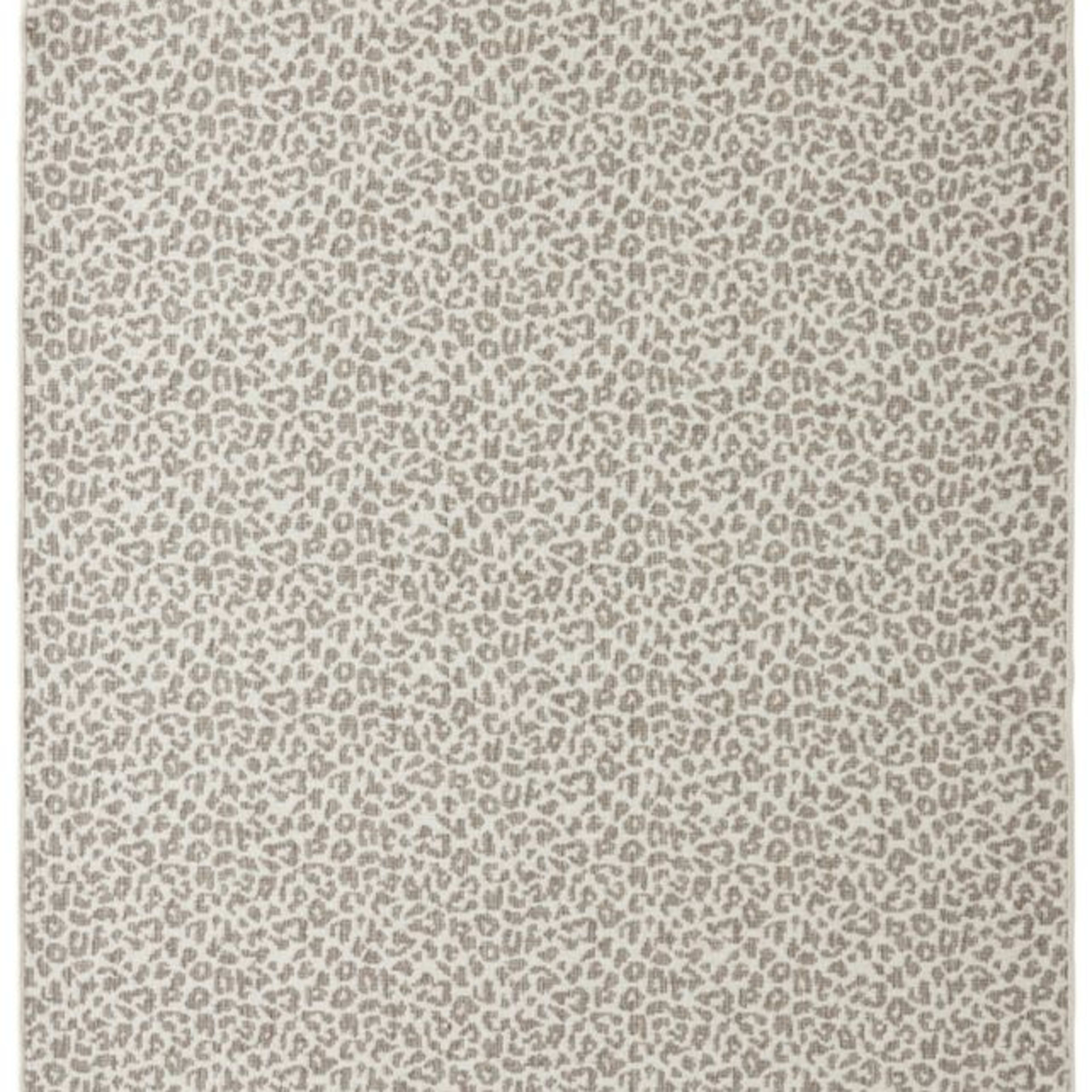 Leon in Stone Carpet
