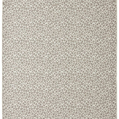 Leon in Stone Carpet