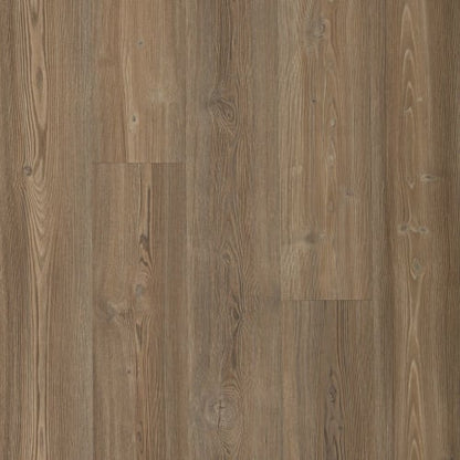 Dodford 20 Db in Mochocino Pine