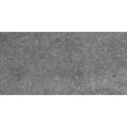 Diplomacy in Light Grey 12x24 Tile