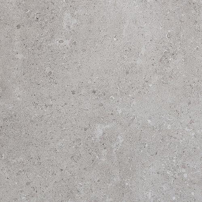 Dignitary in Eminence Grey 12x24 Tile