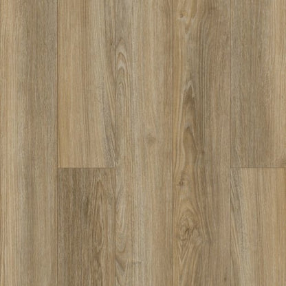 Discovery Ridge in Brushed Beige