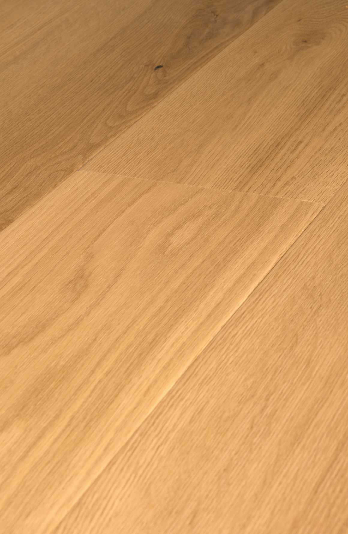 Daybreak Oak