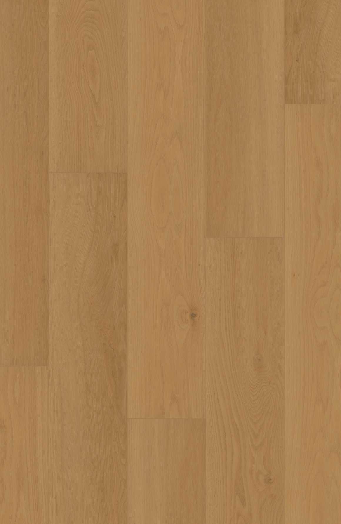 Comfort Enhanced NE+ in Daybreak Oak